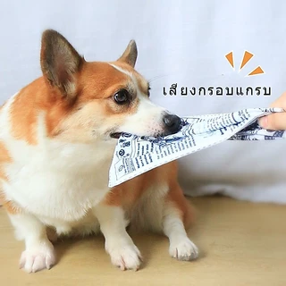 ของเล่นกระดาษเสียง สําหรับสัตว์เลี้ยง สุนัข ลูกสุนัข