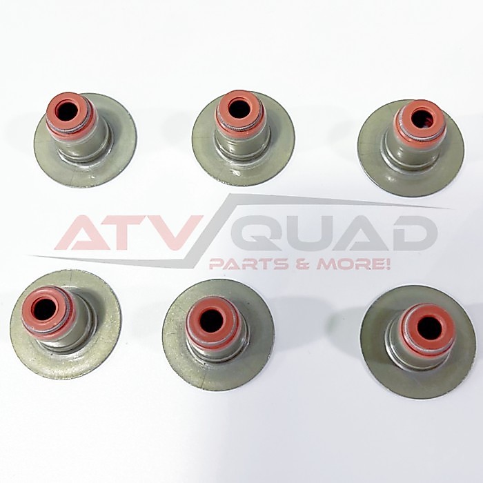 6PCS Valve Stem Seal for Sea-Doo GTI GTR GTS GTX RXT RXT-X RXP RXP-X Fish Wake 130 155 170 230 300