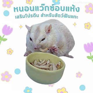 หนอนแว๊กซ์อบแห้ง (ฟรีซดราย) หรือหนอนน้ำผึ้งฟรีซดราย สำหรับชูการ์ไกรเดอร์ แฮมเตอร์ กระรอก เม่นแคระ ดอร์เมาส์