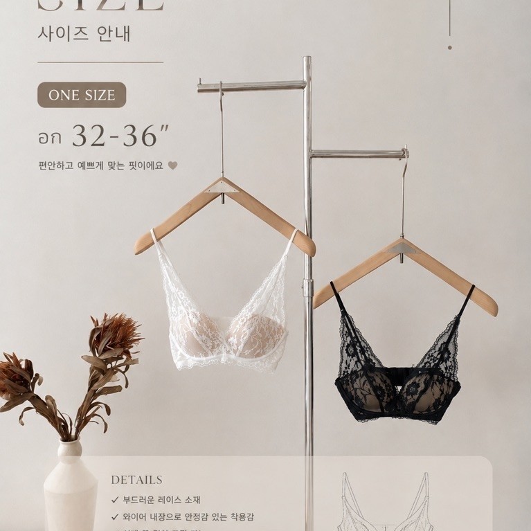 Dewishes Lace Bra ที่ฮิตที่สุดในตอนนี้