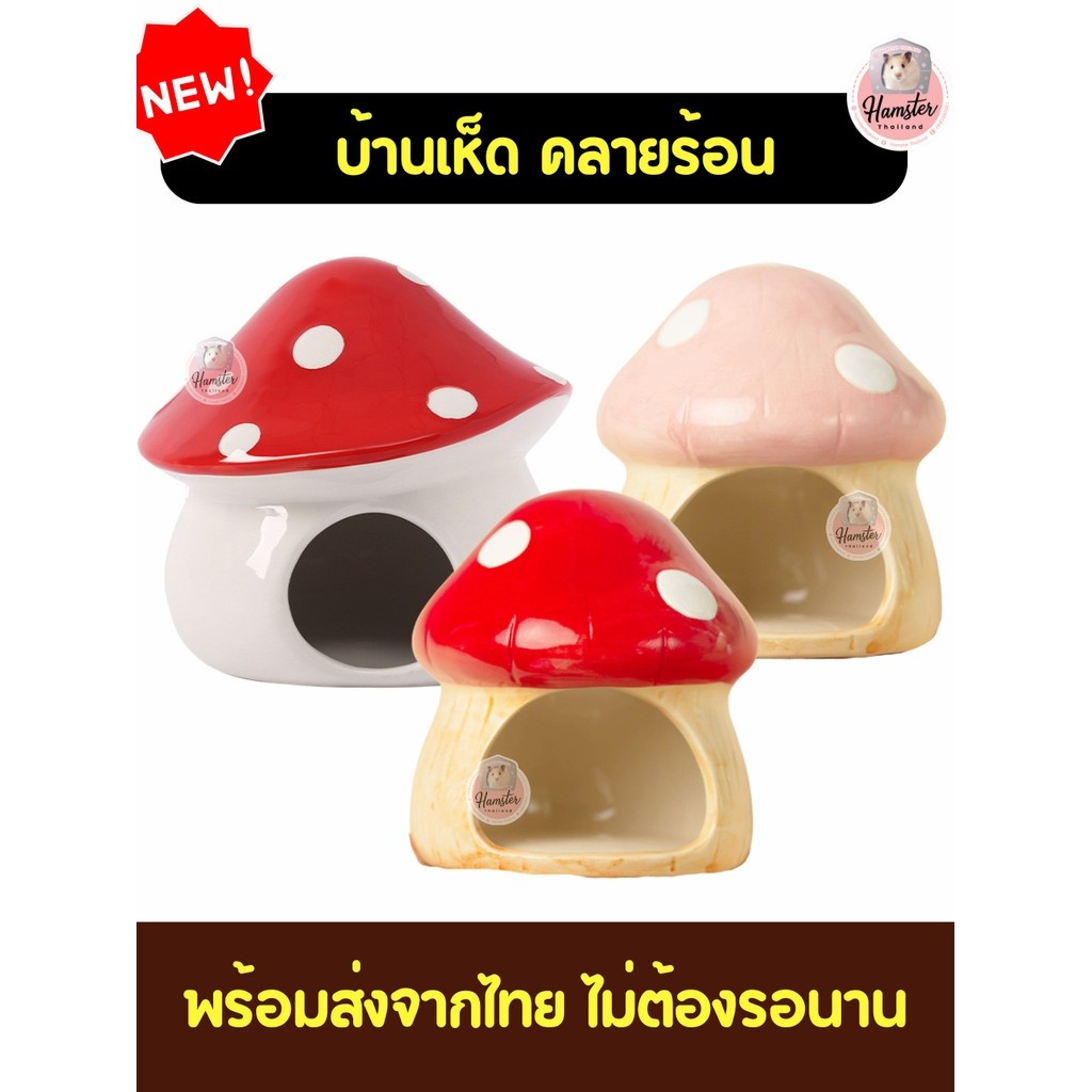 [Hamsterthailand] บ้าน เซรามิค คลายร้อน บ้านเซรามิค บ้านแครอท บ้านเห็ด บ้านสตอเบอรี่ จัมโบ้!! บ้านแฮมเตอร์