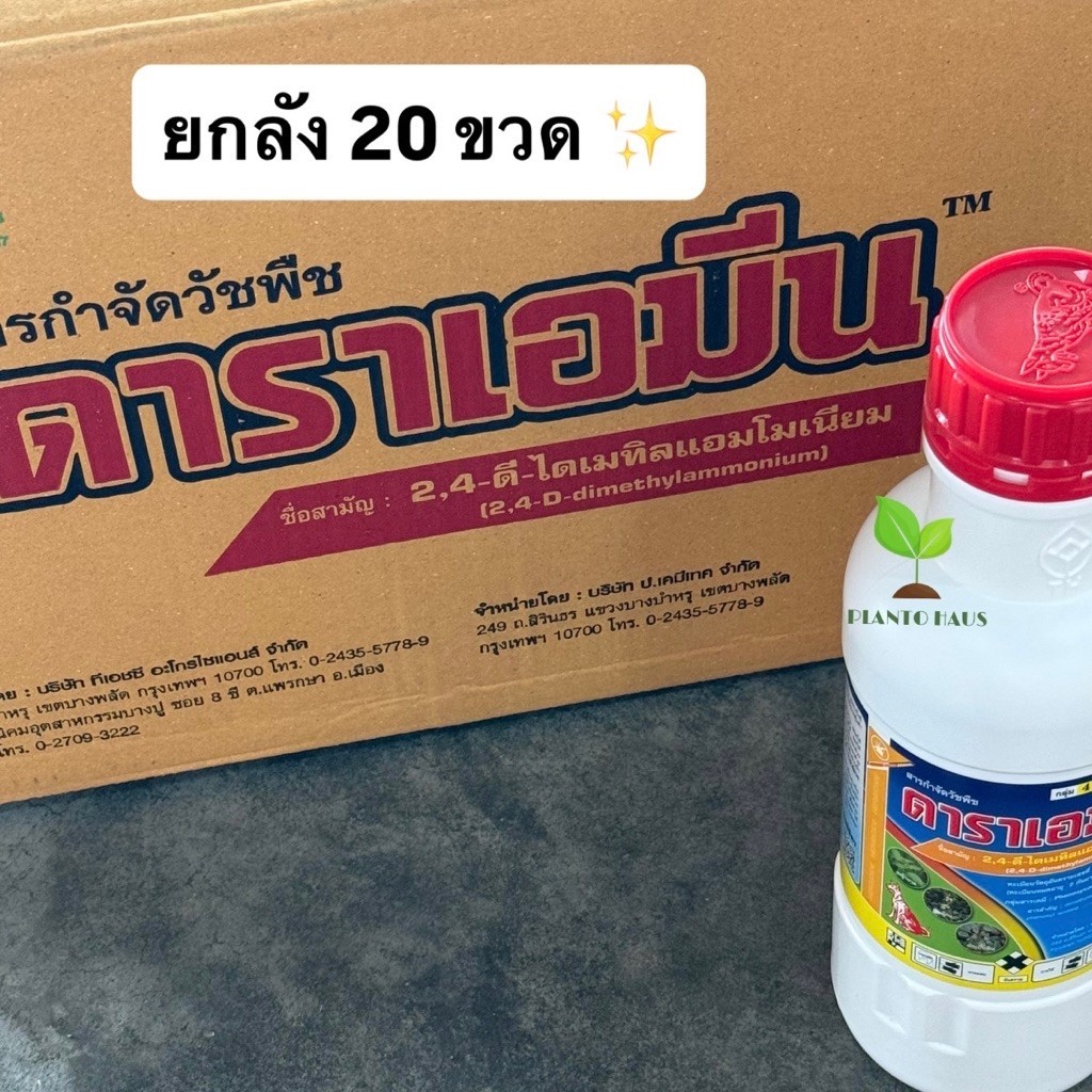 ยกลัง 20ขวด ดาราเอมีน 1ลิตร ผลิต2569 หมาแดง 2,4 ดี ไดเมทิลแอมโมเนียม ต้นตำรับ หมาน้ำ หญ้ายาง ตีนตุ๊กแก ผักเบี้ยหิน