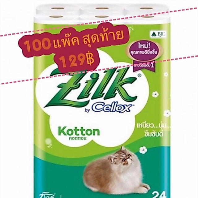 #กระดาษทิชชู่Zilk by Cellox