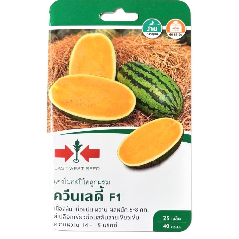 ศรแดง แตงโม เนื้อเหลือง ควีนเลดี้ (25 เมล็ด)