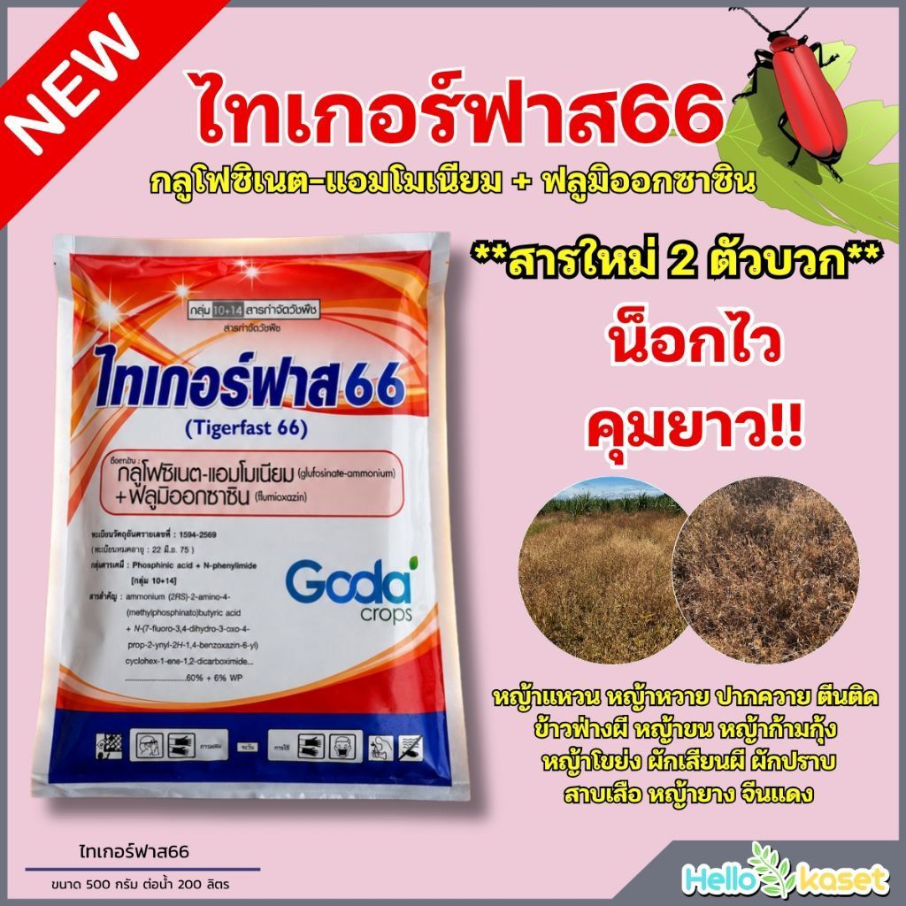 ไทเกอร์ฟาส 66 | ขนาด 500 กรัม สารกำจัดวัชพืชสูตรผสม Glufosin