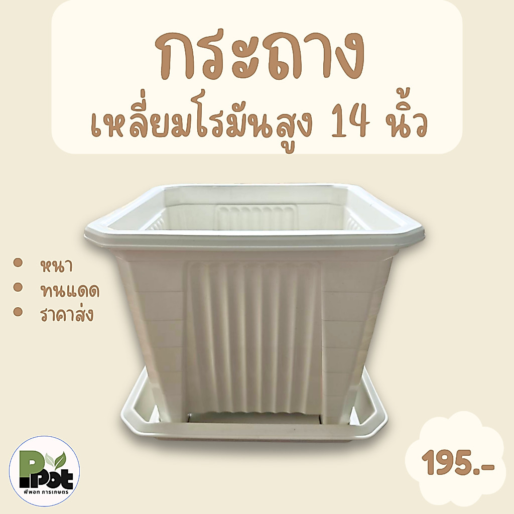 กระถางต้นไม้ รุ่นเหลี่ยมโรมันสูง ไซส์ 14 นิ้ว + จานรอง มีหลายสีให้เลือก สีขาว เทา อิฐ