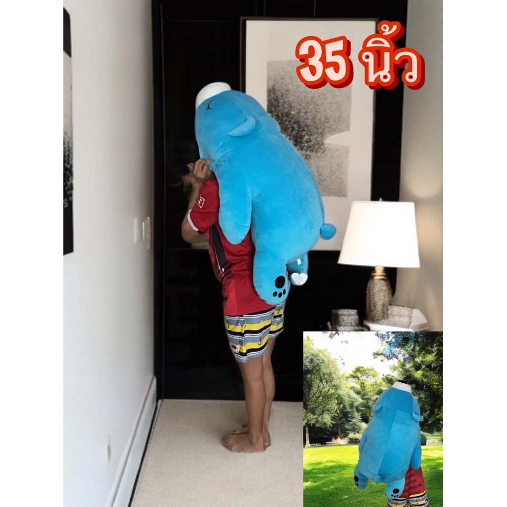 Thumbnail 8