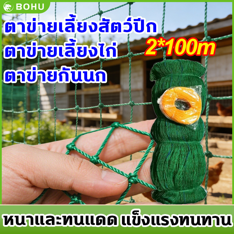 ตาข่ายล้อมไก่ ตาข่ายกันนก 2*100M อวนล้อมไก่ ตาข่ายดักนก ตาข่ายปลูกผัก เลี้ยงไก่ กันงู กันนก กันสุนัข ตาข่ายอเนกประสงค์