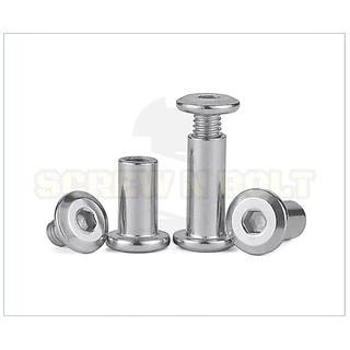 (ยกชุด) น็อต สกรู หัวกลมแบน งานเฟอร์ฯ+ตัวเมีย สแตนเลส 304 เกลียวมิล M5 M6 / (Set) Round Flat Hex
