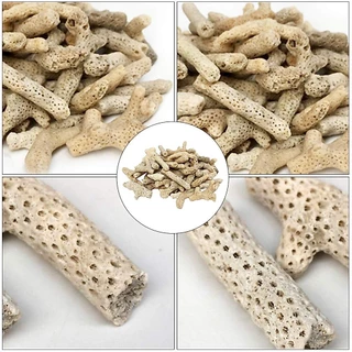 ปะการัง กรองน้ำ เศษปะการัง 500g. แถมถุงซิปอย่างดี สำหรับเป็นวัสดุ กรองน้ำ ใบโอมีเดี่ย Media ตู้ปลาทะเล ตู้ปลาน้ำจืด ปลา