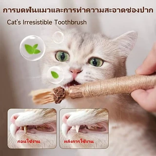 ไม้มาทาทาบิ ขัดฟันแมว แบบเชือก ไม้ขัดฟันแมว ของเล่นแมว ลดคราบหินปูน สําหรับสัตว์เลี้ยง แมว