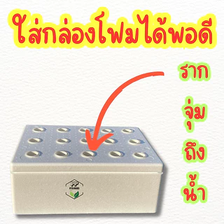 ถ้วยปลูกผักไฮโดรโปนิกส์ สีขาว ใช้ซ้ำได้ พลาสติกอย่างดีเกรด AAA+