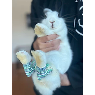 ถุงเท้ากระต่าย ( Rabbit sock ) ป้องกันฝ่าเท้าอักเสบ รองเท้ากระต่าย