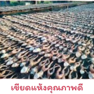 เขียดแห้งเกรดA อำเภอธาตุพนม เขียดอีโม่ เขียดสำหรับทอดหรือปิ้ง ของแซ่บอีสาน หนัก100กรัม