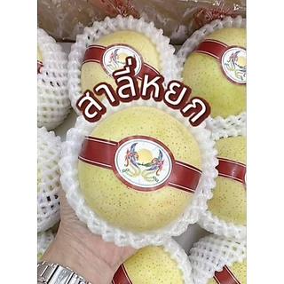 setรวมสาลี่🍐✨️✨️🍐ผลไม้มงคล 4 ชนิด สาลี่หยก,สาลี่หิมะ,สาลี่น้ำผึ้ง,สาลี่หอม