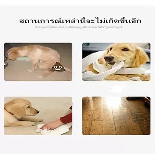 พร้อมส่ง ถาดรองฉี่สัตว์เลี้ยง (สำหรับสุนัข) ขอบสี่เหลี่ยม มีเสาถอดได้+ตะแกรงรอง ถอดประกอบตามใจชอบ