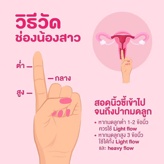 เซตถ้วยอนามัย FlowDays พร้อมน้ำยาล้าง (SizeA + Flowwash) เลือกสีถ้วยได้