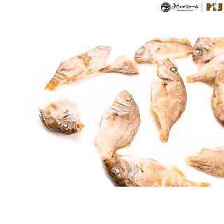 Small Red Sea Bream 50g. มิชิโนกุฟาร์มปลามาได หรือ ปลากะพงแดงญี่ปุ่น จากจังหวัดโคชิประเทศญี่ปุ่น