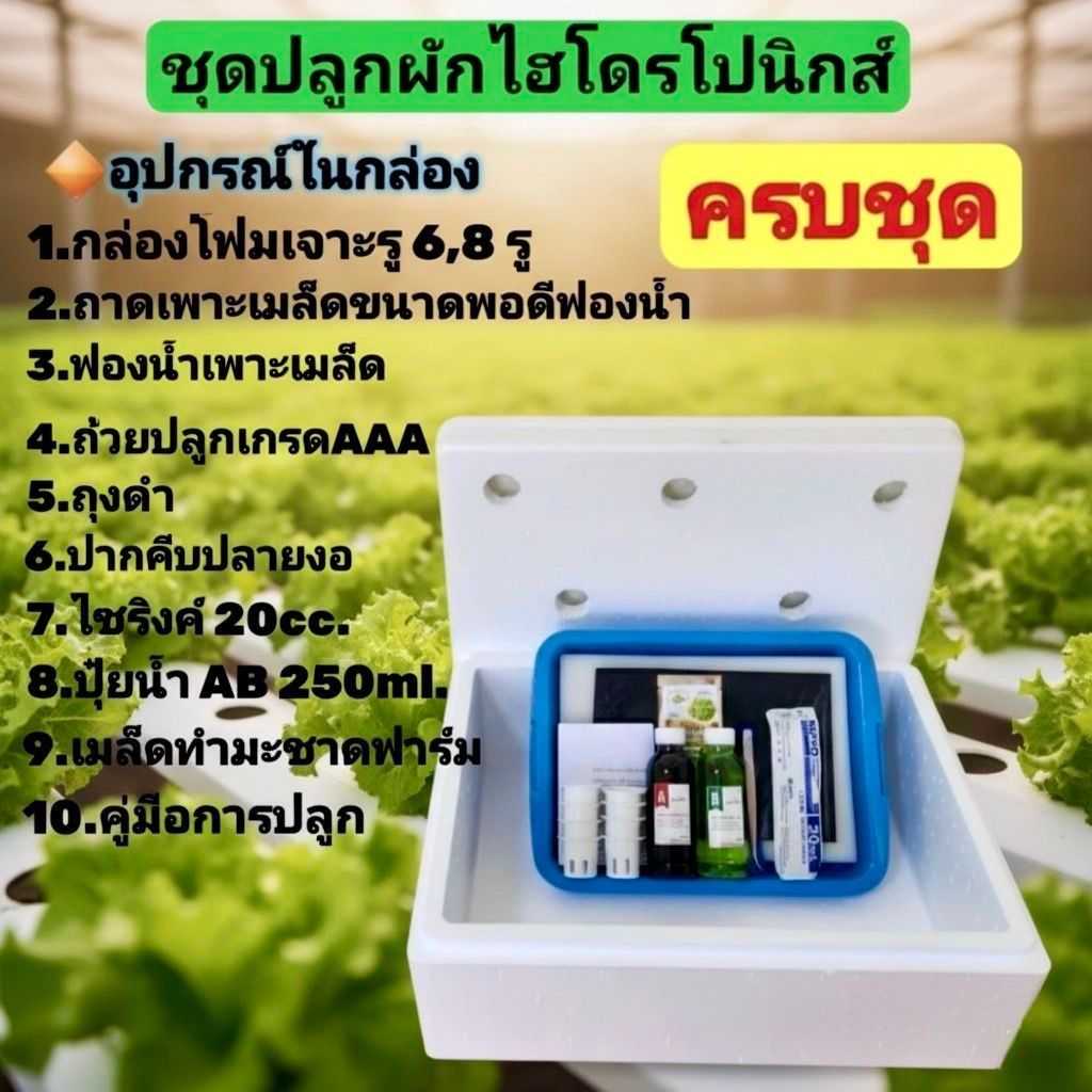 ชุดปลูกผักไฮโดรโปนิกส์ อุปกรณ์ครบชุดพร้อมคู่มือปลูก สำหรับมือใหม่