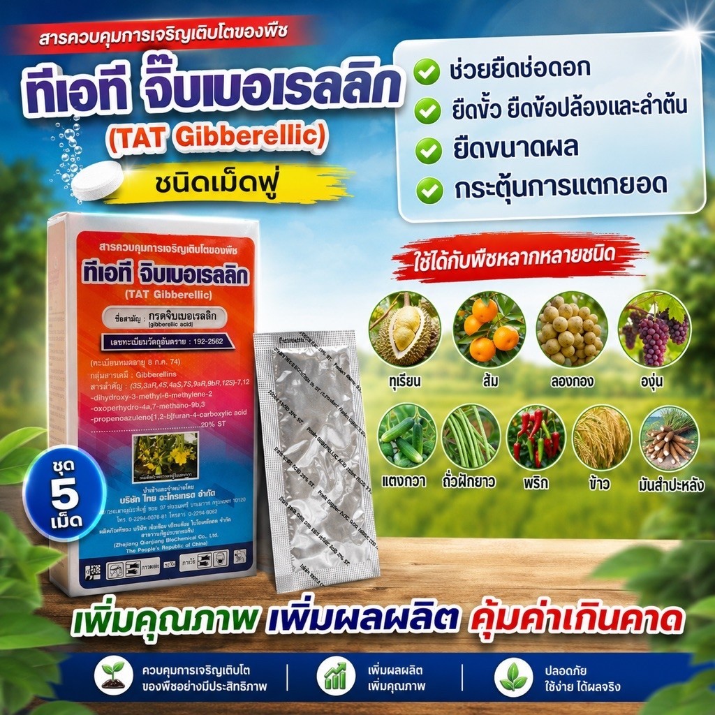 ทีเอทีจิ๊บเม็ด ชุด5เม็ด(1เม็ดขนาด5กรัม)จิ๊บบอเรลลิกแอซิดู20%)1เม็ดน้ำ200ลิตรแบบเม็ดละลายน้ำยายืดยืดช่อดอกผล