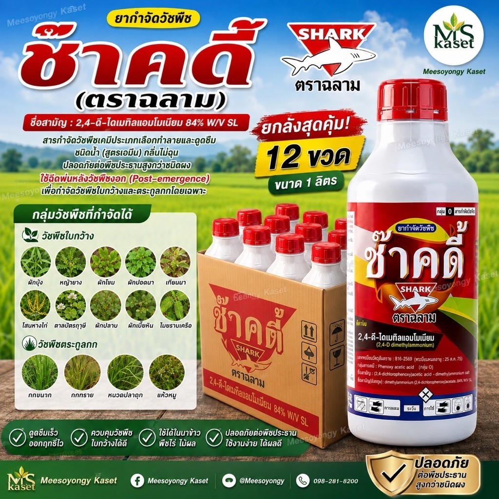 ช๊าคดี้ 2-4D ขนาด 1ลิตร บรรจุลัง 12 ขวด/ลัง 2,4-D dimethyl ammonium 84% SL สารกำจัดวัชพืชใบกว้าง ฆ่าผักบุ้ง หญ้ากระเถ้า