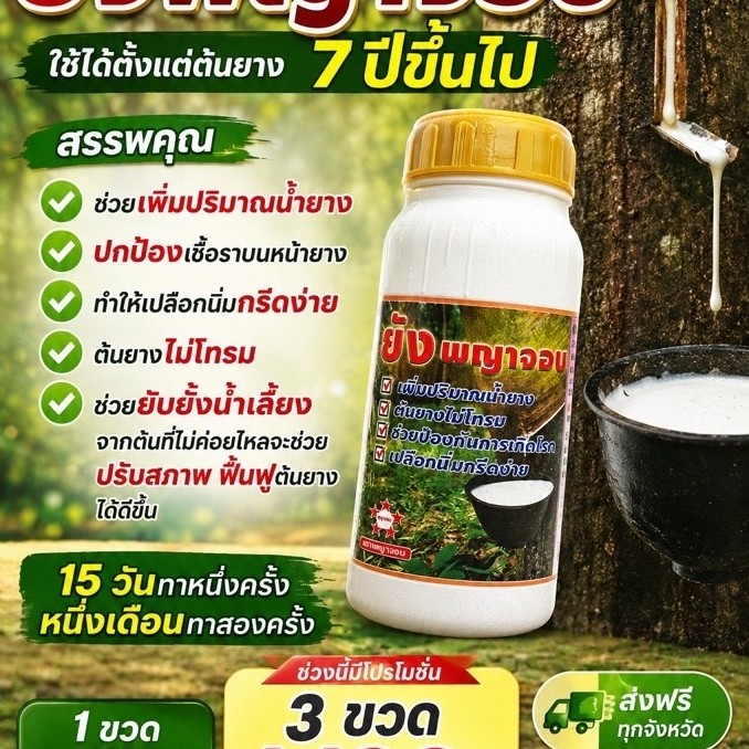 น้ำยาทาหน้ายางยังพญาจอบ(ของแท้)