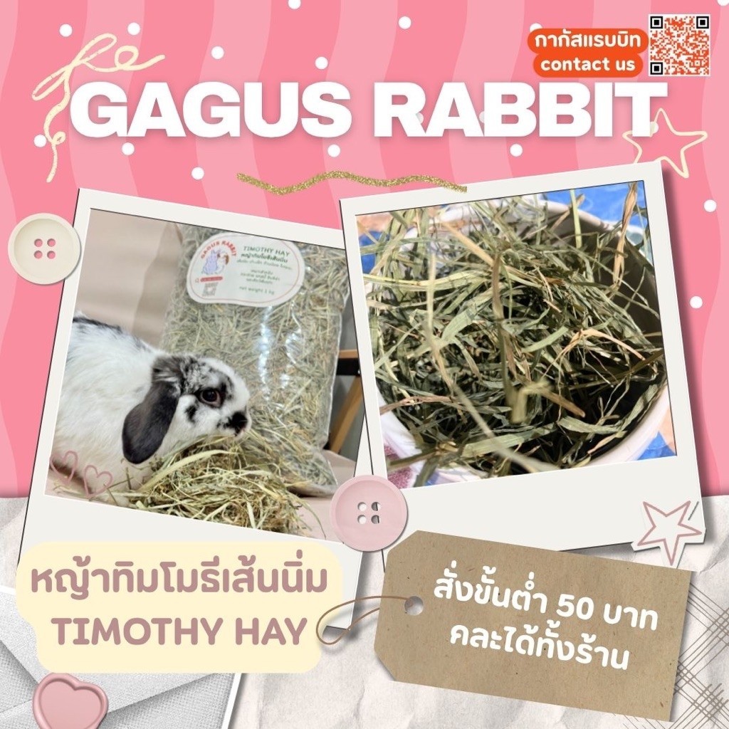 GAGUS RABBIT 🐰 / หญ้าทิมโมธี TIMOTHY HAY 🌿 สำหรับกระต่าย แกสบี้ ชินชิล่า และสัตว์ฟันแทะ
