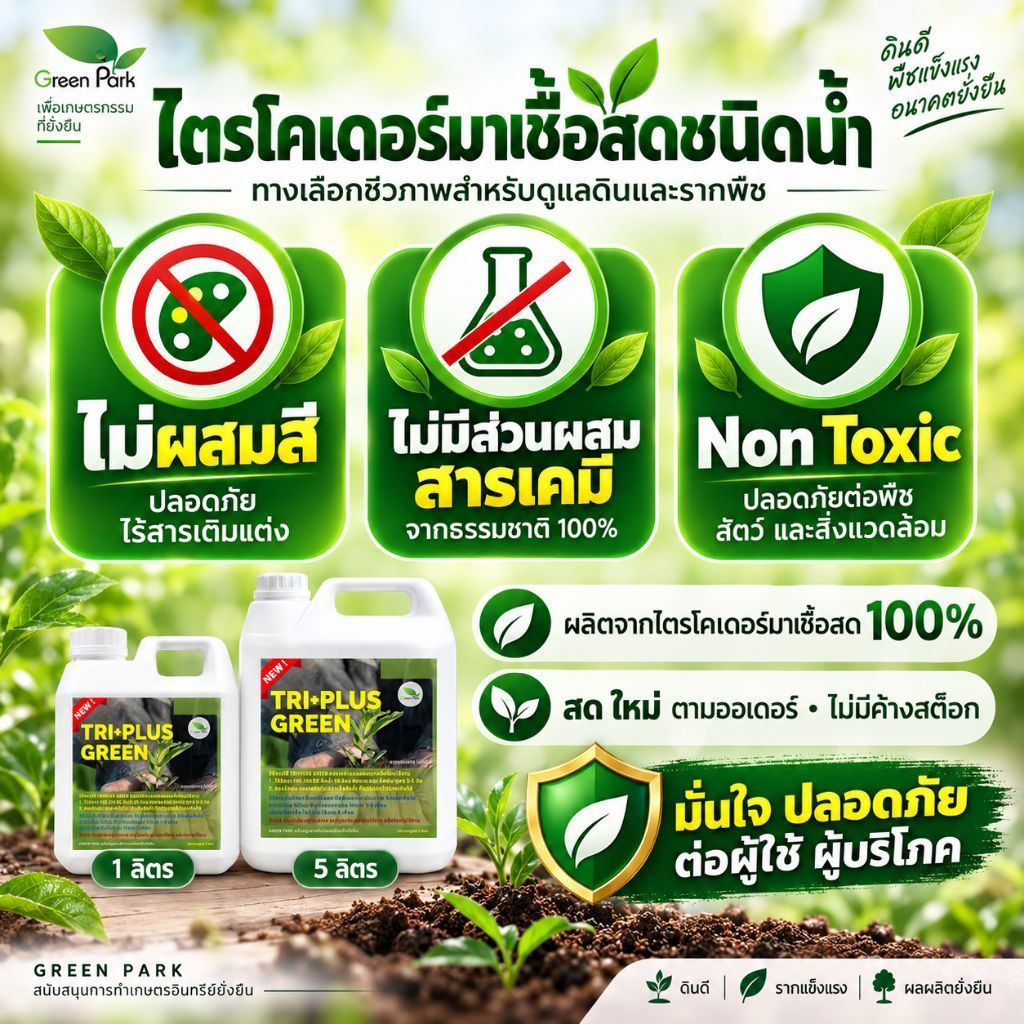 ไตรโคเดอร์มา เชื้อสด ชนิดน้ำ ขนาด 5 ลิตร ควบคุมโรค เชื้อรา ราก โคนเน่า ใบหงิก แคงเกอร ใบจุด ชีวภาพ ไม้ด่าง Trichoderma รูปที่ 9