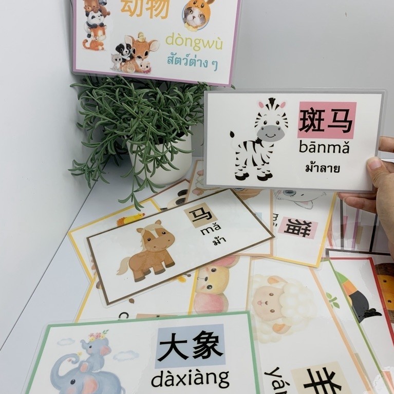 พร้อมส่ง สื่อการสอนภาษาจีน หมวดสัตว์ | Animal Vocabulary | สื่อการสอนจีน อนุบาล-ประถม | JEENWITHME
