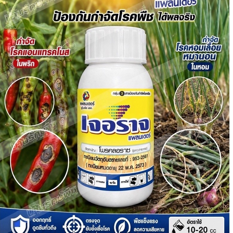 เจอราจ Jerrage ป้องกันและกำจัดเชื้อแอนแทรคโน มาตรฐานสินค้านำเข้าจากอิสราเอล