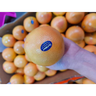 grapefruit เกรปฟรุ๊ต 🍊(เช็ทละ 4 ลูก / 10 ลูก)