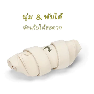 กระเป๋าเป้สะพายหลัง ความเรียบง่ายสีทึบสำหรับนักเรียน สําหรับผู้หญิง และผู้ชาย