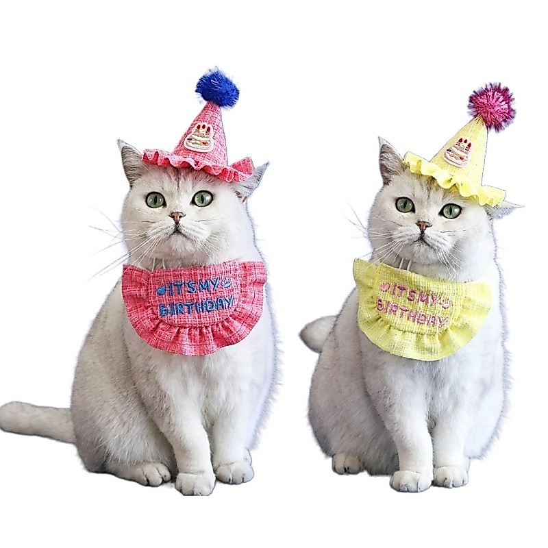 XU 2PCS Pet Birthday Hat bib เย็บปักถักร้อย Letter Celebration หมวกสัตว์เลี้ยง Bandanas