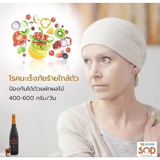 SOD MORE เครื่องดื่มเอนไซม์ต้านอนุมูลอิสระไฟโตนิวเทรียน์จากผักผลไม้มากกว่า125ชนิด by successmore