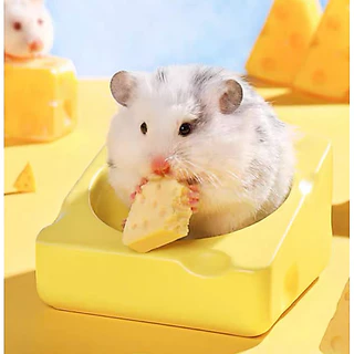 Hambit. ขนมชีสเค้ก สำหรับแฮมเตอร์ ชูการ์ไกร์เดอร์ เม่น ดอร์เม้าส์ เหมาะสำหรับสัตว์เลี้ยงฟันแทะทุกชนิด ชีสจากนมแพะ