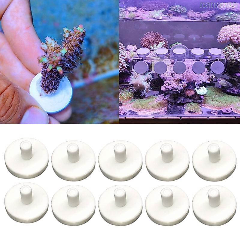Nan Coral Frag Disks Aquatics สําหรับคอรัลรูปตัว T สําหรับตู้ปลาทะเล