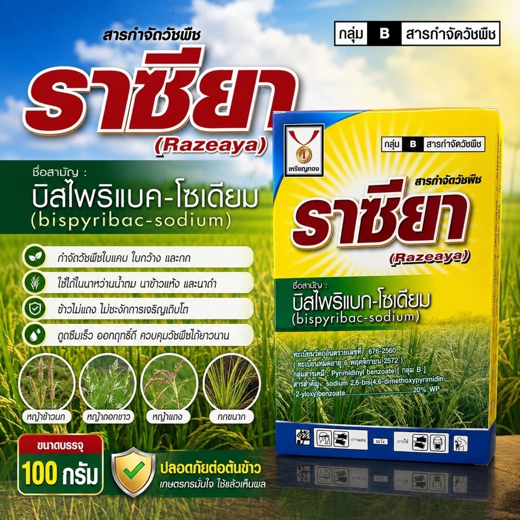 ราซียา ขนาด 100 กรัม ชื่อสามัญ : บิสไพริแบค-โซเดียม 20 (Bispyribac-sodium 20% WP) คือ สารกำจัดวัชพืชในนาข้าว