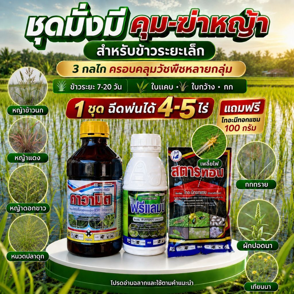 ชุดมั่งมี คุม-ฆ่าหญ้าในนาข้าว 7-15 วันกำจัดได้ทั้งเมล็ดหญ้าใบแคบหญ้าข้าวนก ดอกขาว หญ้าแดงใบกว้างตระกูลกกหนวดปลาดุกผักปอด