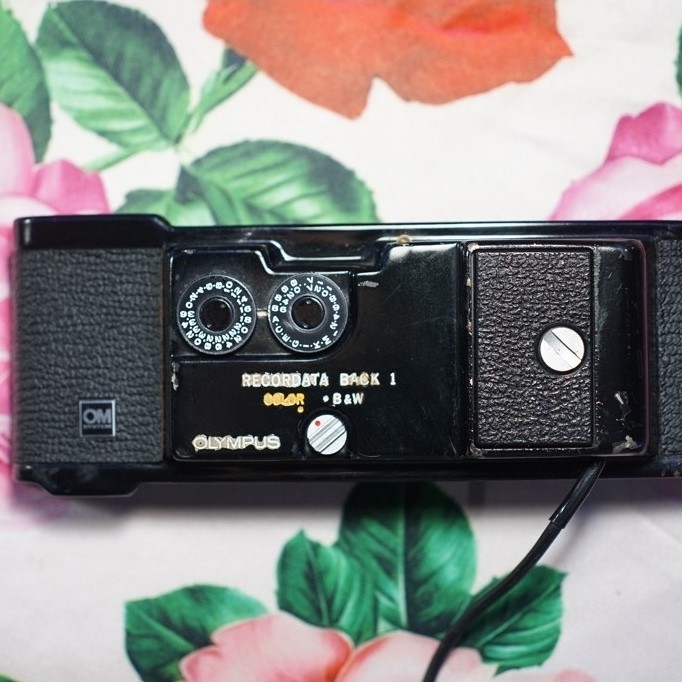 ฝาหลังกล้อง Olympus OM Record At A Back 1 for Olympus OM1 / 2 / 1N / 2N