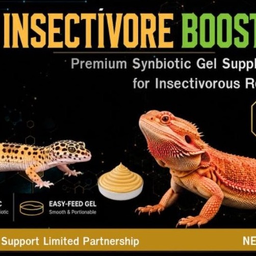 INSECTIVORES. BOOST