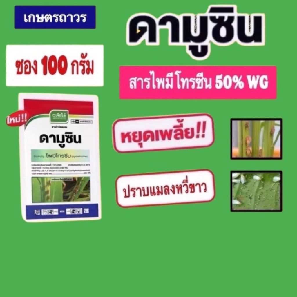 ดามูซิน ซอง 100 กรัม สารไพมีโทรซีน ตัวเดียวกับเพลนั่ม กำจัดได้ทั้งเพลี้ยกระโดด เพลี้ยจักจั่นและแมลงหวี่ขาว