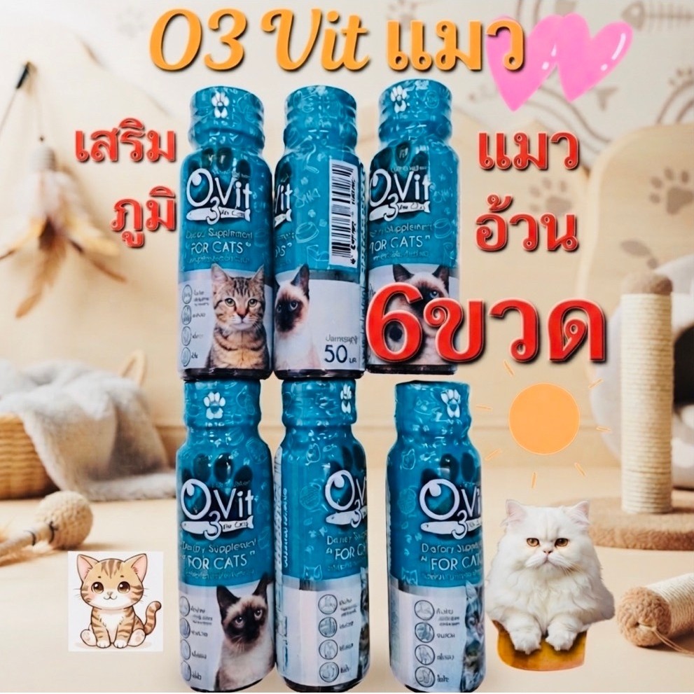 o3vitแมววิตามินบํารุงแมวกินเก่งอ้วนเสริมภูมิ50ml6ขวด