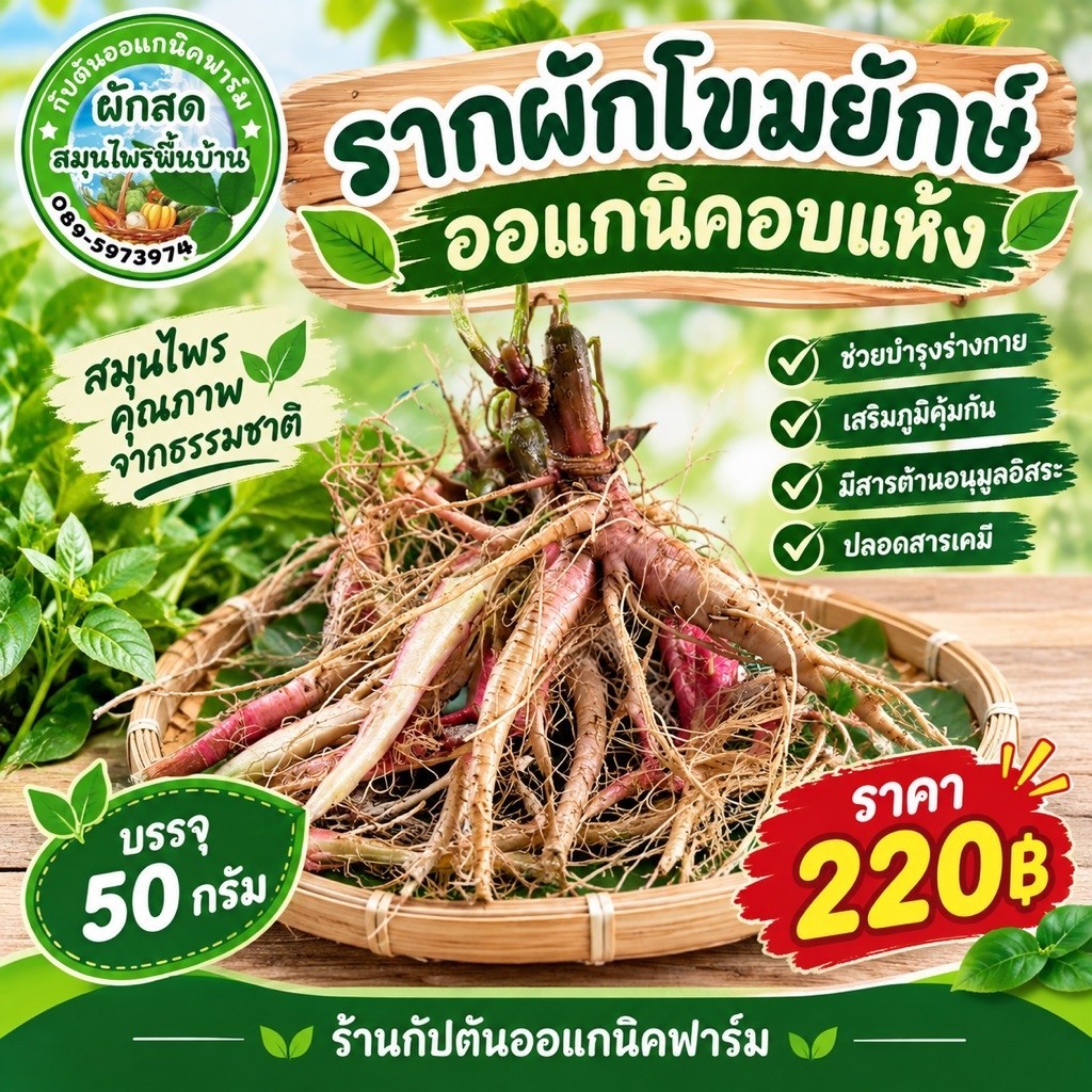 รากผักโขมยักษ์ ออแกนิคอบแห้ง(บรรจุ50กรัม)
