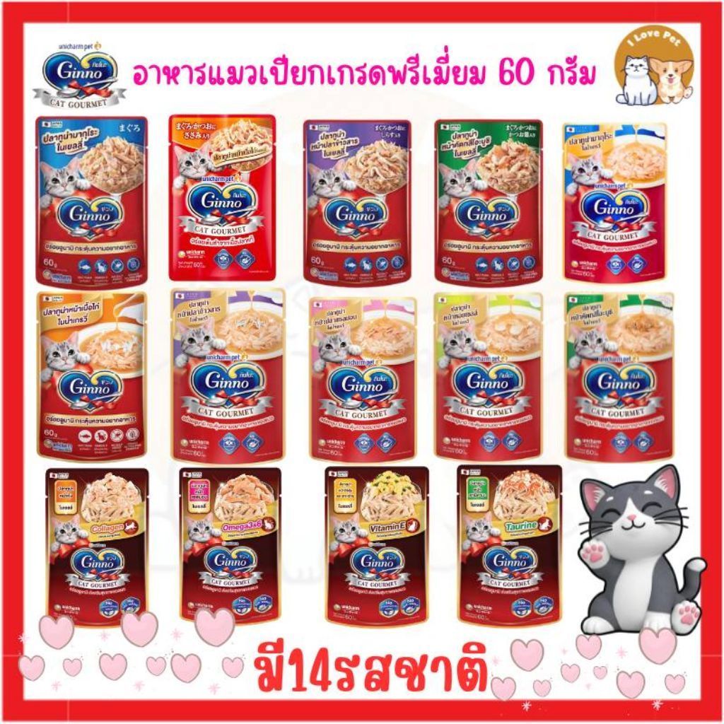 (ครบ14รสชาติ)Ginno Cat Gourmet อาหารแมวเปียกเกรดพรีเมี่ยม ไม่เติมเกลือ บำรุงสุขภาพ 60 กรัม * 12 ซอง