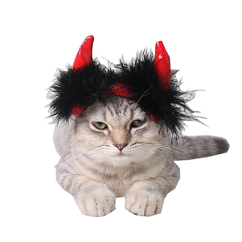 CLAWSET قبعة هالوين مصاص دماء للحيوانات (سعر خاص) — صورة 7