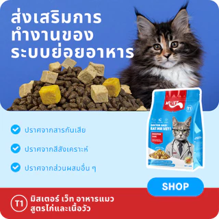 MRVET อาหารเม็ดแมว Holistic T1 แพ็ค 1กก. 2กก.3กก.5กก.- โปรตีน 30% เหมาะสำหรับแมวทุกช่วงวัย