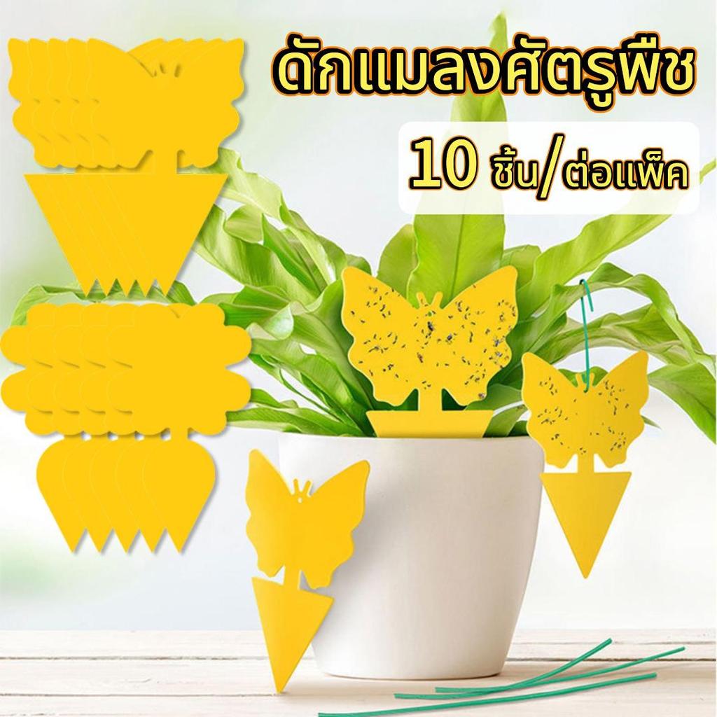 ส่งจากไทย 10 ชิ้น แผ่นกาวดักแมลงขนาด ดักแมลงศัตรูพืช กาวเหนียว 2 ด้าน รูปทรงแปลก ดักแมลงวันทอง เสียบลงในดิน
