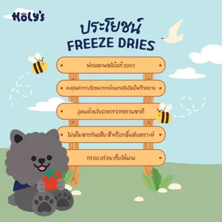 Holy's-ขนมฟรีซดรายสำหรับสัตว์เลี้ยง