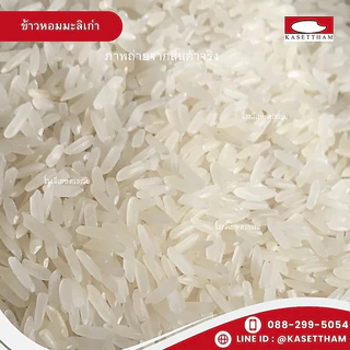 38 กก. ข้าวหอมมะลิเก่าคัดพิเศษ100%เม็ดสวยไม่มีหัก ข้าวสารตราส้มเขียวหวาน คุณภาพดีราคาโรงสี ส่งฟรี O