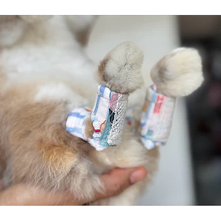 ถุงเท้ากระต่าย ( Rabbit sock ) ป้องกันฝ่าเท้าอักเสบ รองเท้ากระต่าย